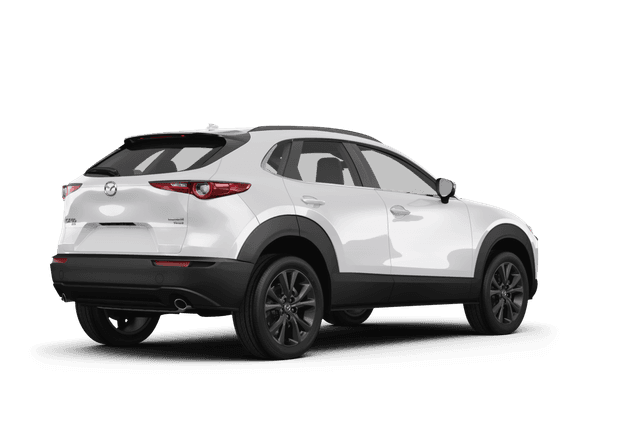 Mazda CX-30 - Back view Mazda CX-30 - Back view